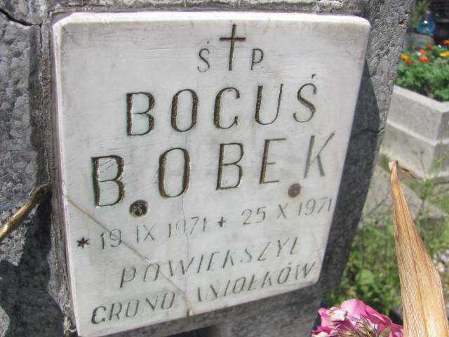 Bogusław Bobek 1971 Mogilany - Grobonet - Wyszukiwarka osób pochowanych